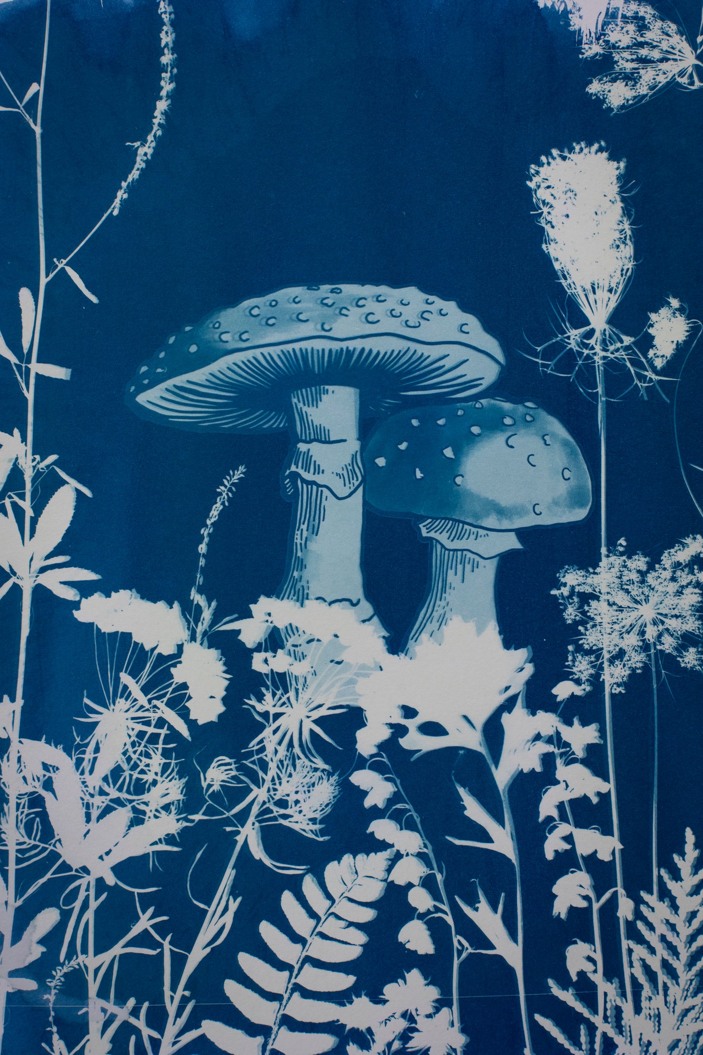10" x 14" Mushroom & Flora Cyanotype Print