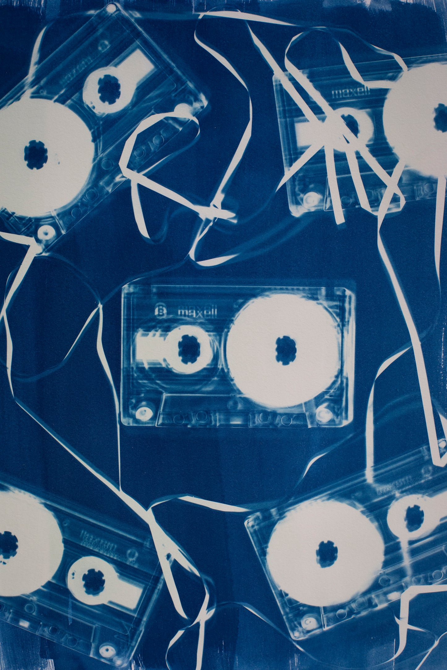 10" x 14" Cassette Cyanotype Print