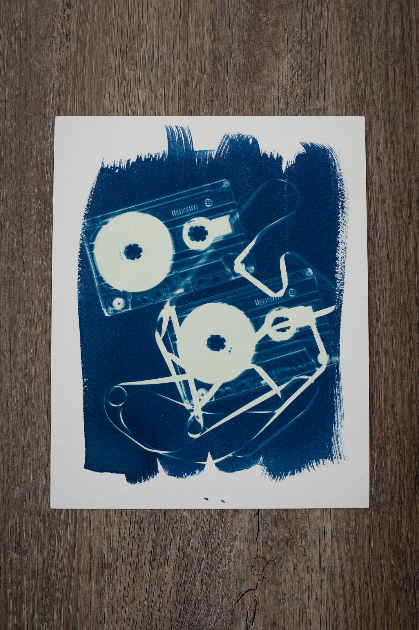 8" x 10" Cassette Cyanotype Print