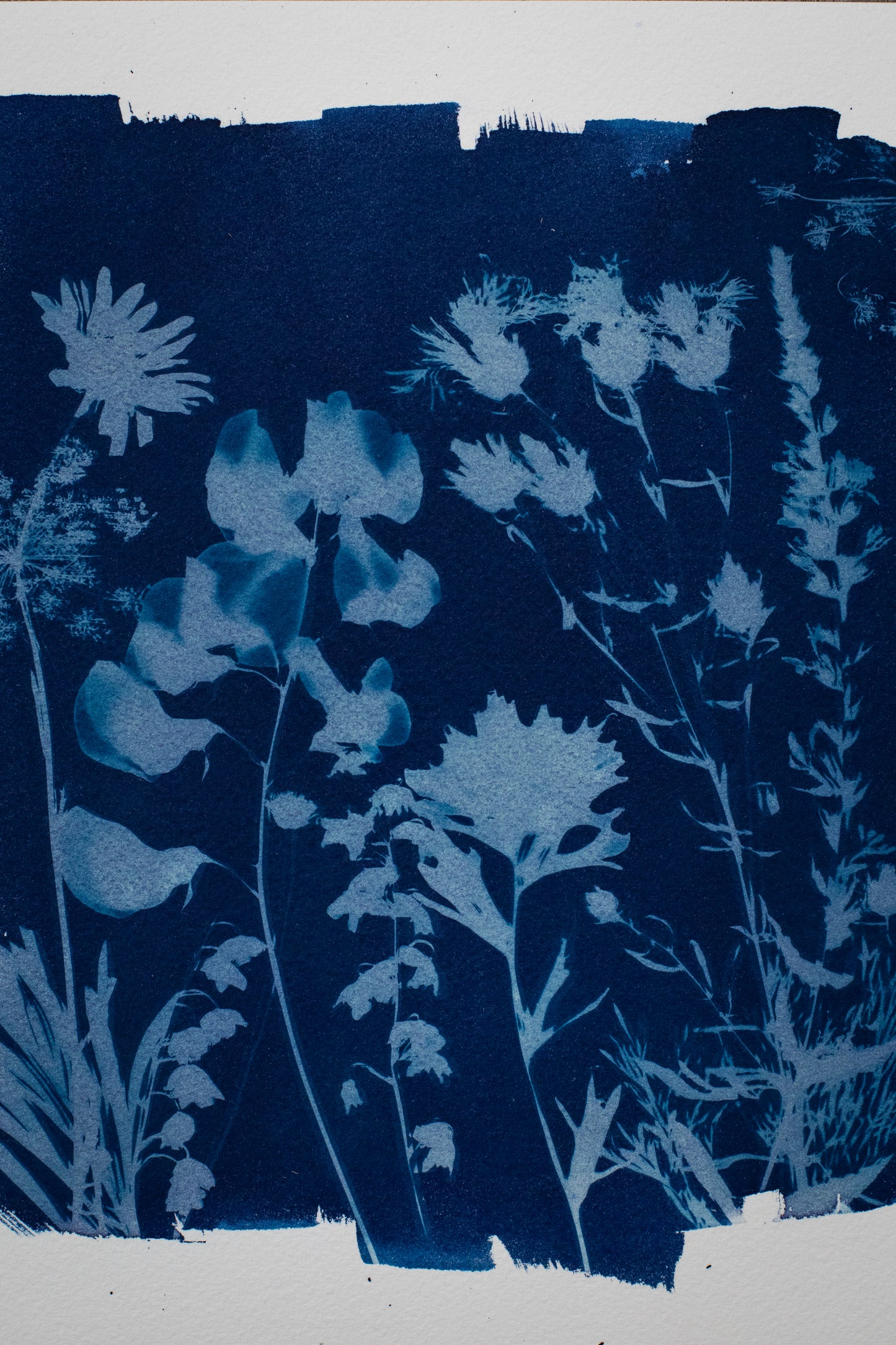 8" x 10" Wildflowers Cyanotype Print