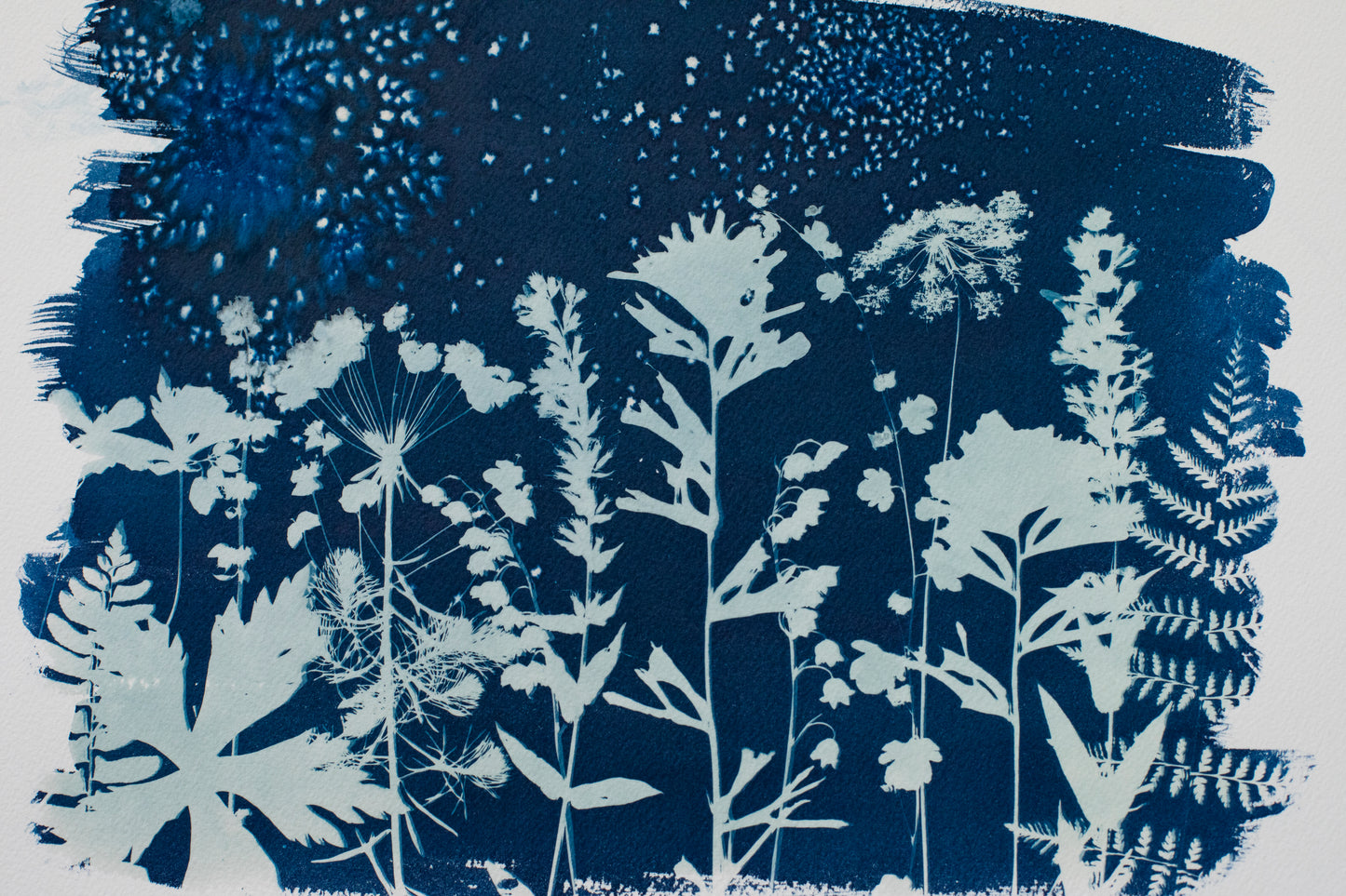 10" x 14"  Horizontal Wildflowers Cyanotype Print